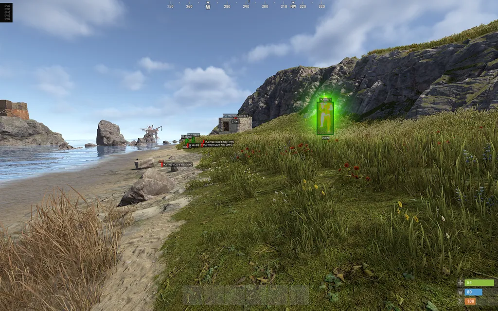 Rust Пиратка Wallhack